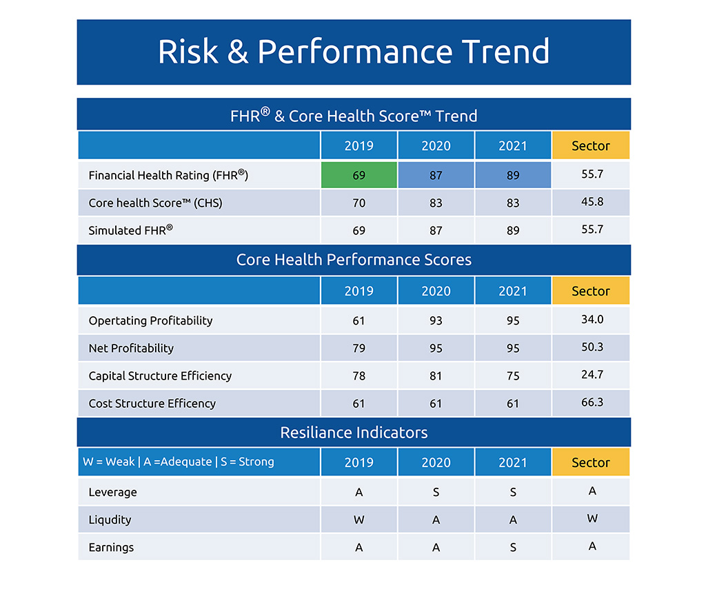 Financial Risk and Performance TrendsQuantitative aspects of a company’s financial risk, operating performance, and resilience as compared to its industry peer group’s average across the most recent periods.