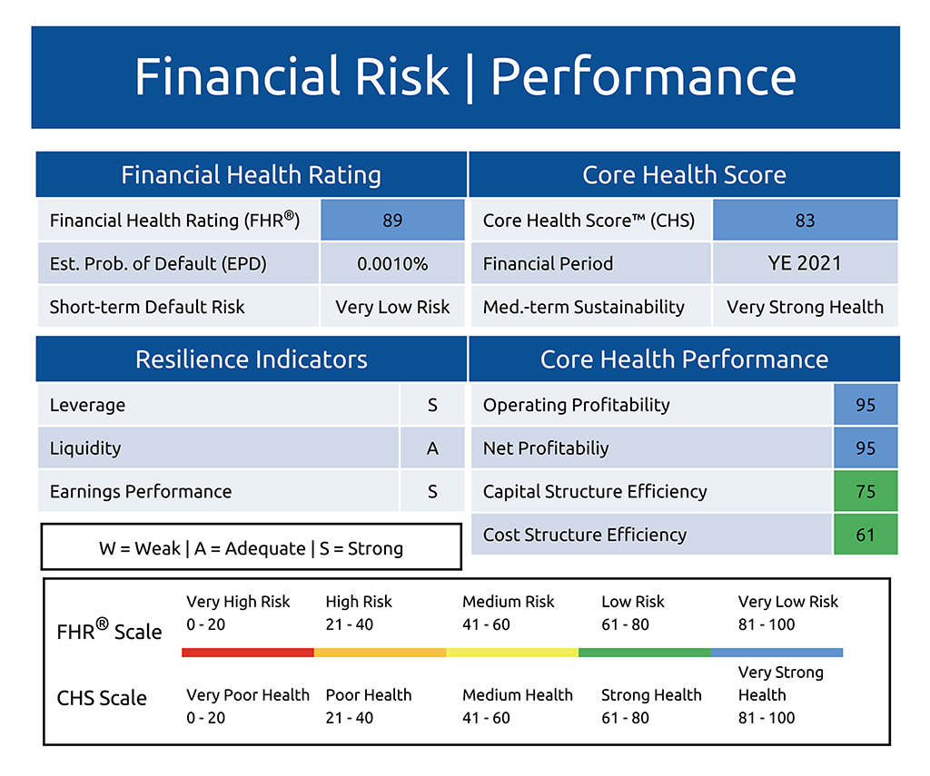 Financial Risk and PerformanceMeasuring a company’s financial viability, operational efficiency, and resilience to understand its underlying strengths and weaknesses.