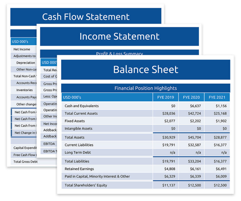 summary financial statements